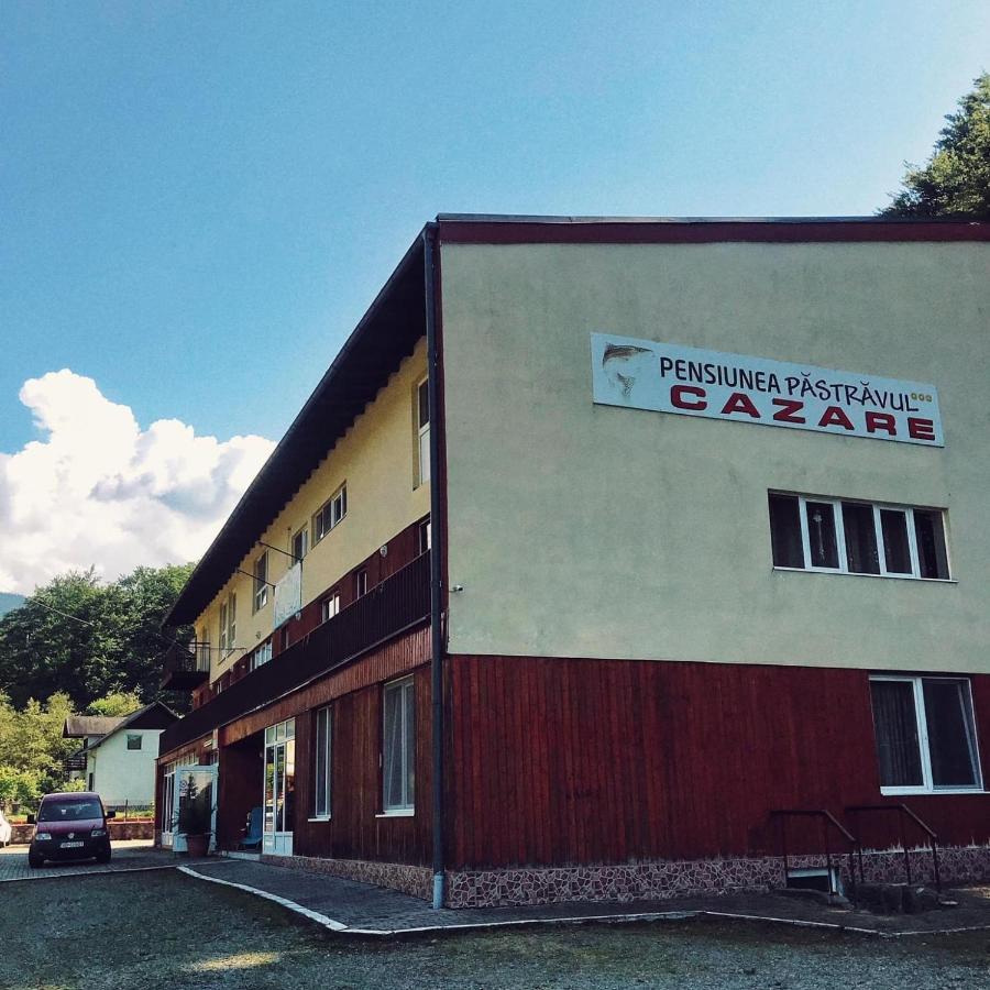 Hotel Pensiunea Pastravul Cîrţişoara Exteriér fotografie