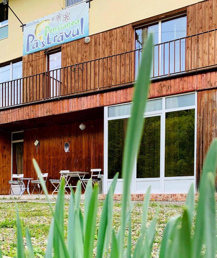 Hotel Pensiunea Pastravul Cîrţişoara Exteriér fotografie