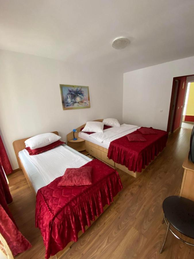 Hotel Pensiunea Pastravul Cîrţişoara Exteriér fotografie