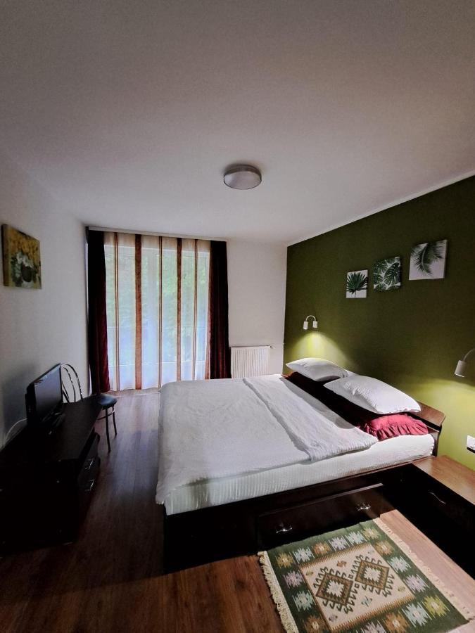 Hotel Pensiunea Pastravul Cîrţişoara Exteriér fotografie